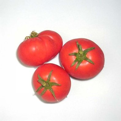 Tomaatti 'Harzfeuer'