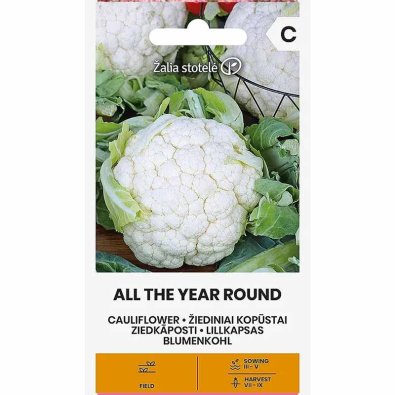 Kukkakaali 'All the year round'