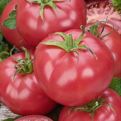 Tomaatti 'Mama rosa' H