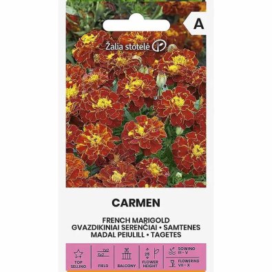 Samettikukka 'Carmen'