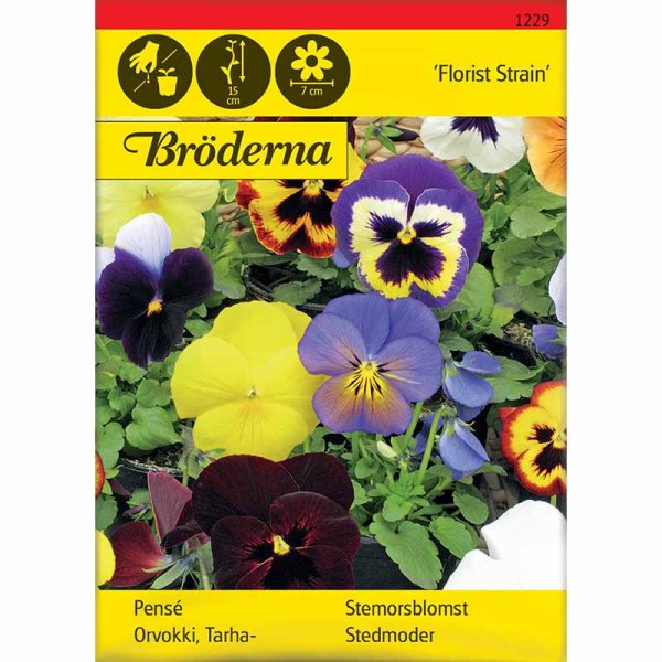 Zoomaa kuva kohteesta Orvokki 'Florist Strain' sekoitus