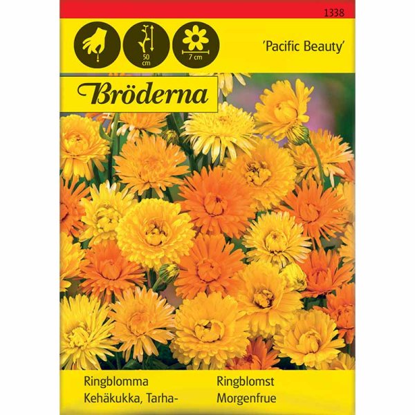 Zoom bilde av Ringblomst 'Pacific Beauty'