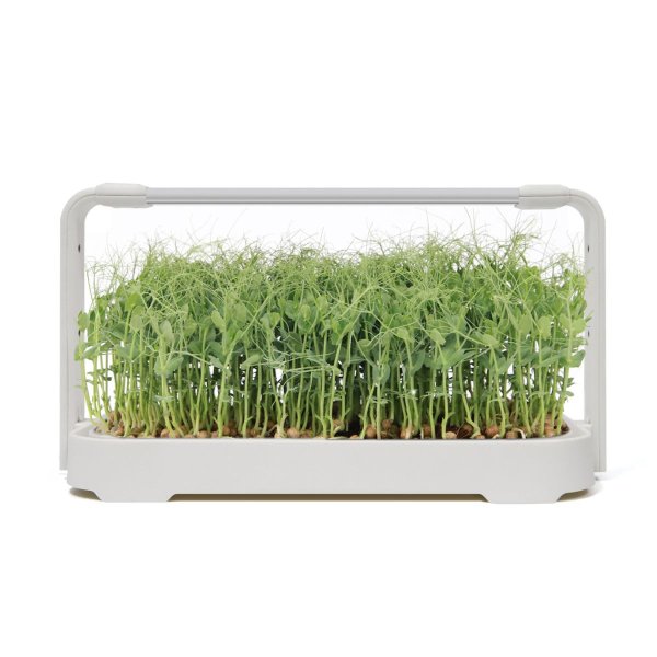 Zoomaa kuva kohteesta Urban Root Grove White