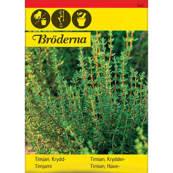 Zoom bilde av Vintertimian