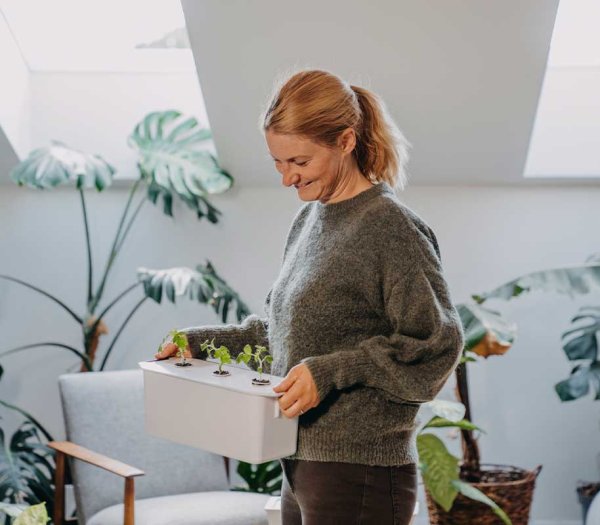 Zoomaa kuva kohteesta Harvy 3 Lahjapakkaus