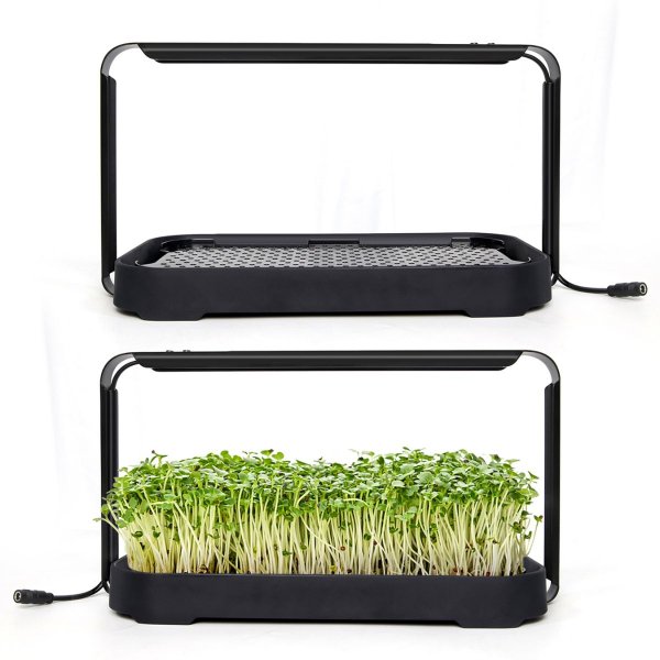 Zoomaa kuva kohteesta Urban Root Grove Black