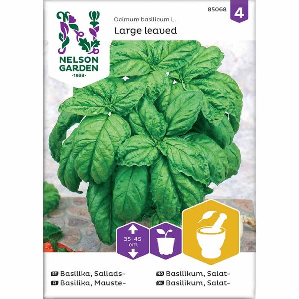 Zoomaa kuva kohteesta Salaattibasilika 'Large leaved'