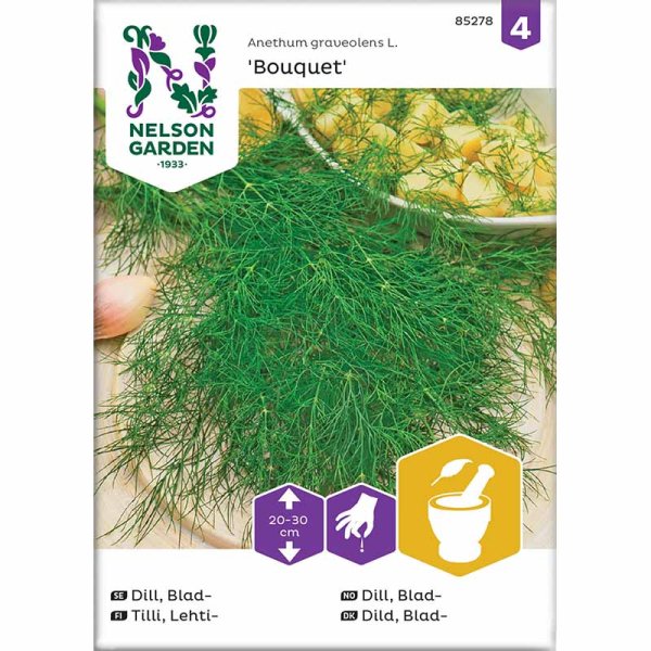 Zoom bilde av Bladdill 'Bouquet'