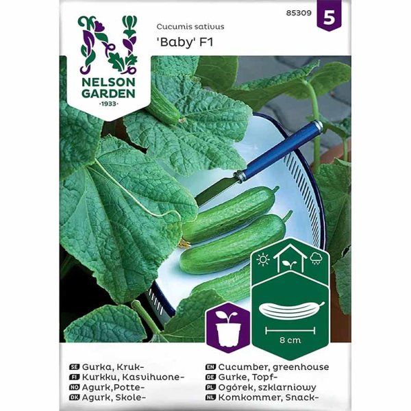 Zoomaa kuva kohteesta Potted Cucumber 'Baby' F1