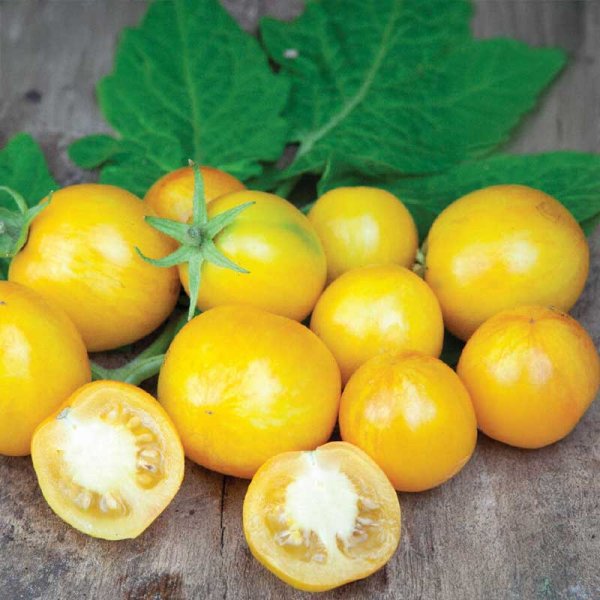 Zoomaa kuva kohteesta Kirsikkatomaatti 'Tigerette Cherry'