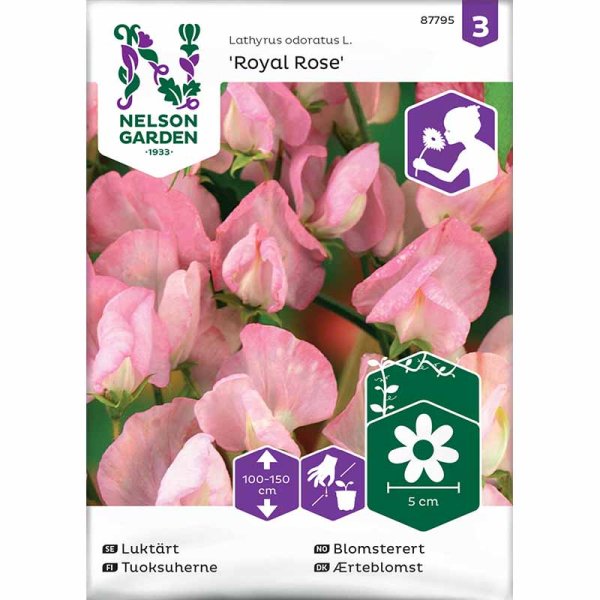Zoomaa kuva kohteesta Tuoksuherne 'Royal Rose'