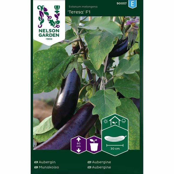 Zoom bilde av Aubergine 'Teresa' F1