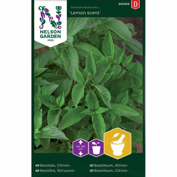 Zoomaa kuva kohteesta Sitruunabasilika 'Lemon scent'