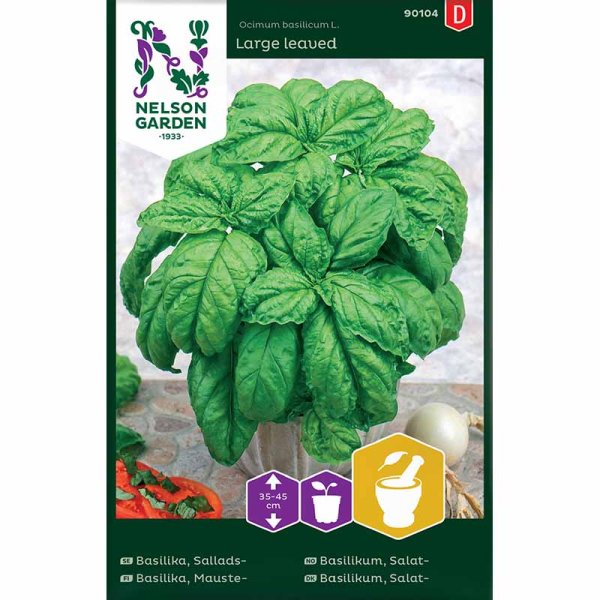 Zoomaa kuva kohteesta Salaattibasilika 'Large leaved'