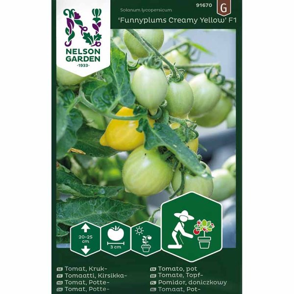 Zoom bilde av Tomato 'Funnyplums Creamy Yellow' F1