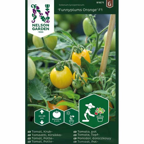 Zoomaa kuva kohteesta Tomato 'Funnyplums Orange' F1