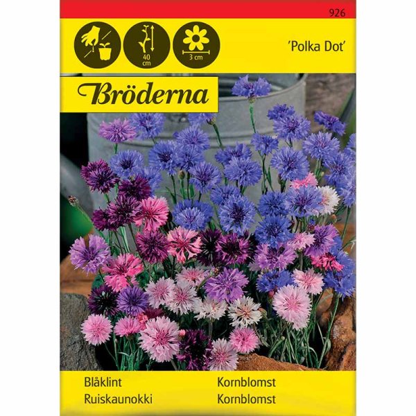 Zoom bilde av Kornblomst 'Polka Dot'