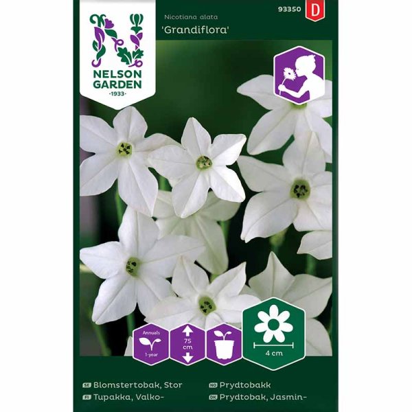 Zoomaa kuva kohteesta Suurikukkainen koristekessakki 'Grandiflora'
