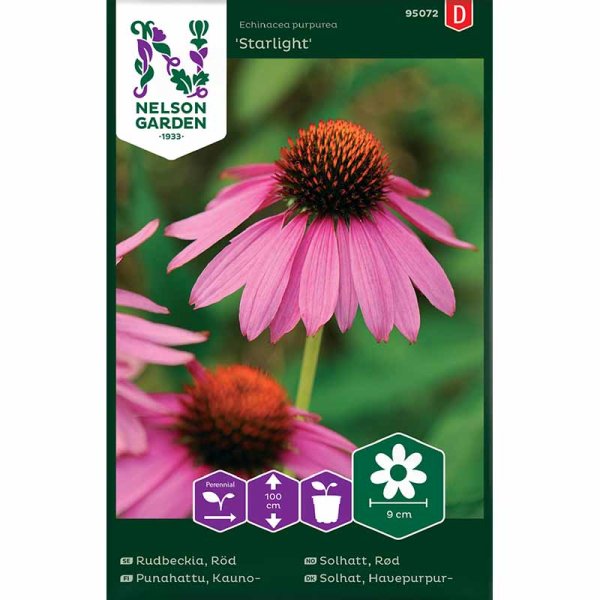 Zoomaa kuva kohteesta Röd rudbeckia Starlight