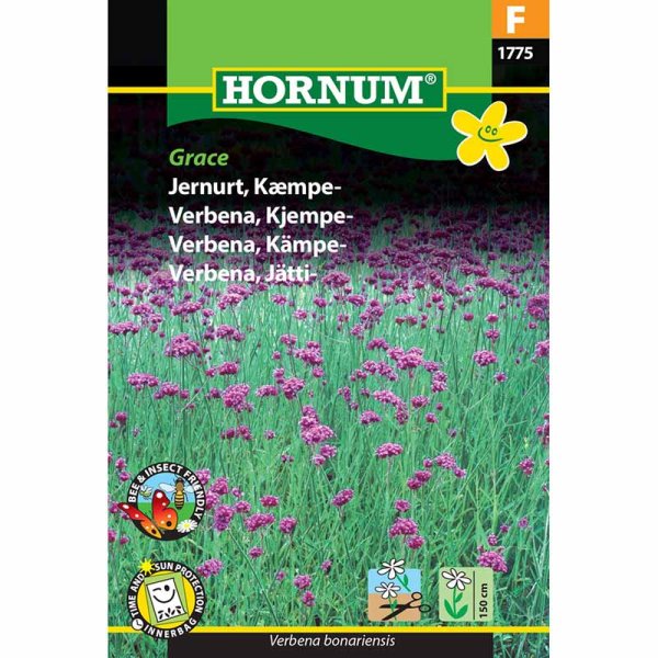 Zoomaa kuva kohteesta Verbena 'Grace'