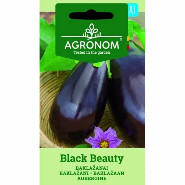 Zoom bilde av Aubergine 'Black beuty'