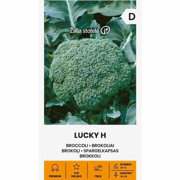 Zoomaa kuva kohteesta Parsakaali 'Lucky' H