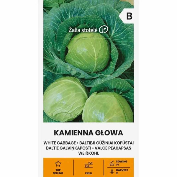 Zoom bilde av Hodekål 'Kamienna Glowa'