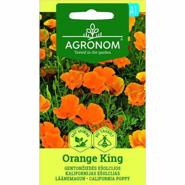 Zoomaa kuva kohteesta Kesäesikko 'Orange King'