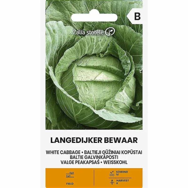 Zoomaa kuva kohteesta Valkokaali 'Langedijker bewaar'