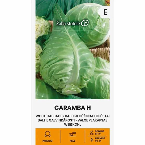Zoomaa kuva kohteesta Valkokaali 'Caramba' H