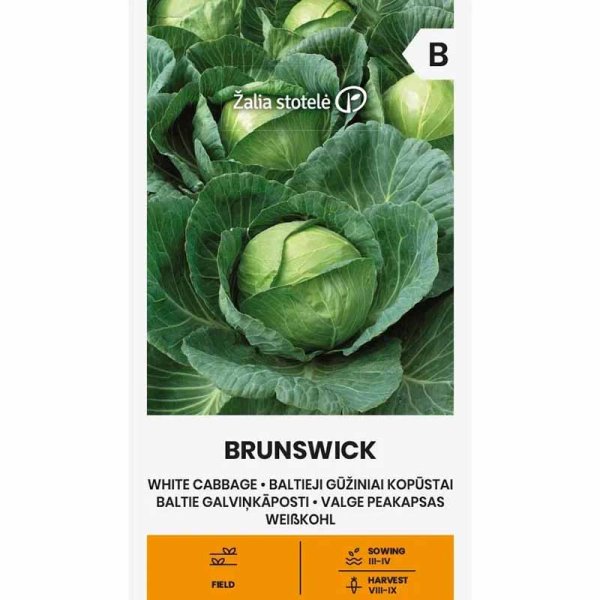 Zoom bilde av Hodekål 'Brunswick'