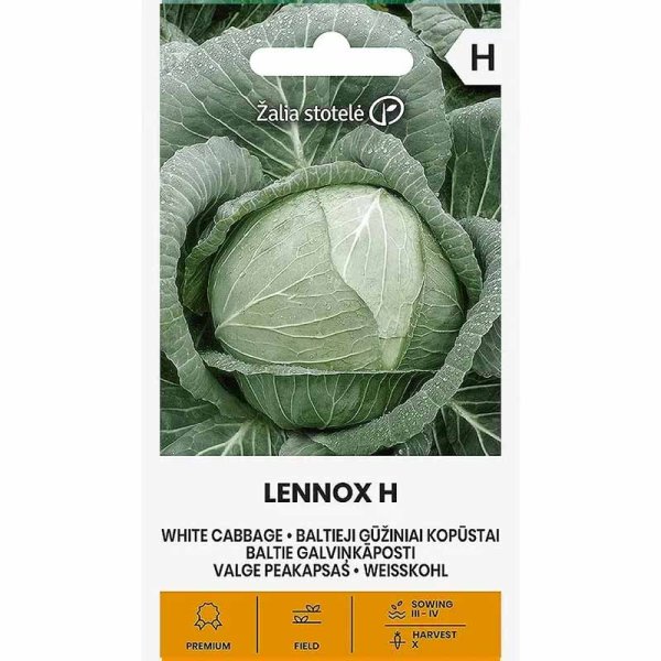 Zoomaa kuva kohteesta Valkokaali 'Lennox' H