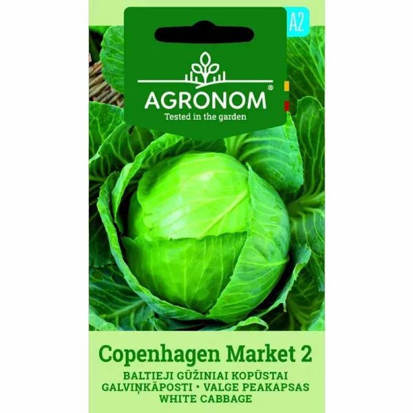 Zoomaa kuva kohteesta Valkokaali 'Copenhagen market'