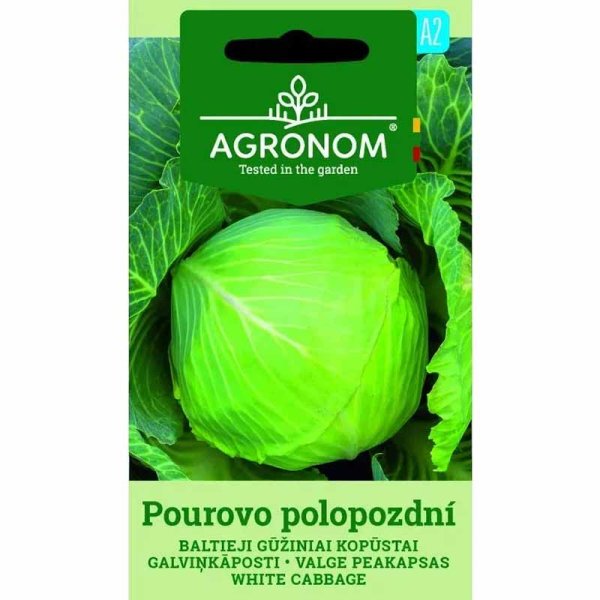 Zoomaa kuva kohteesta Valkokaali 'Pourovo polopozdni'