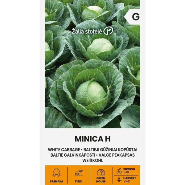Zoomaa kuva kohteesta Valkokaali 'Minica' H