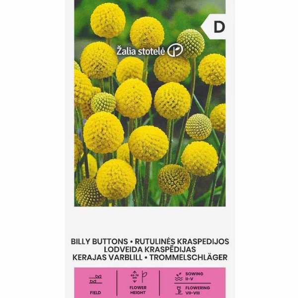 Zoom bilde av Billy Button 'Billy buttons'