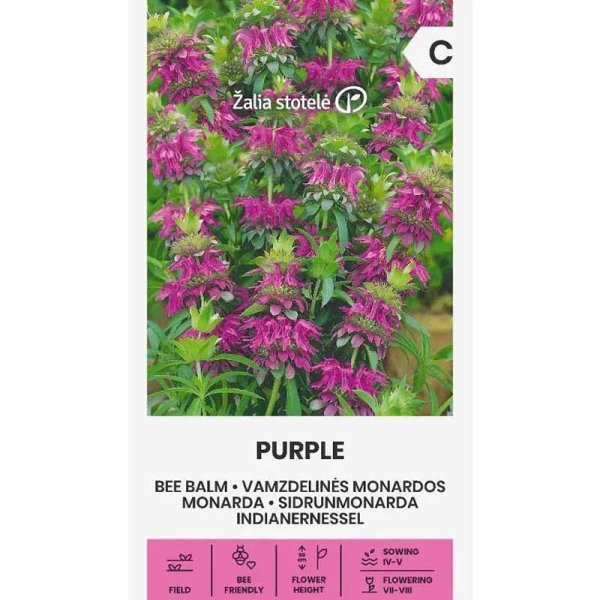 Zoomaa kuva kohteesta Minttupiharatamo violetti