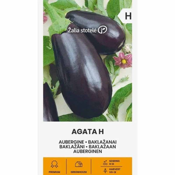 Zoom bilde av Aubergine 'Agata' H