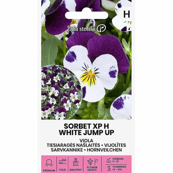 Zoomaa kuva kohteesta Orvokki 'Sorbet XP White Jump Up'