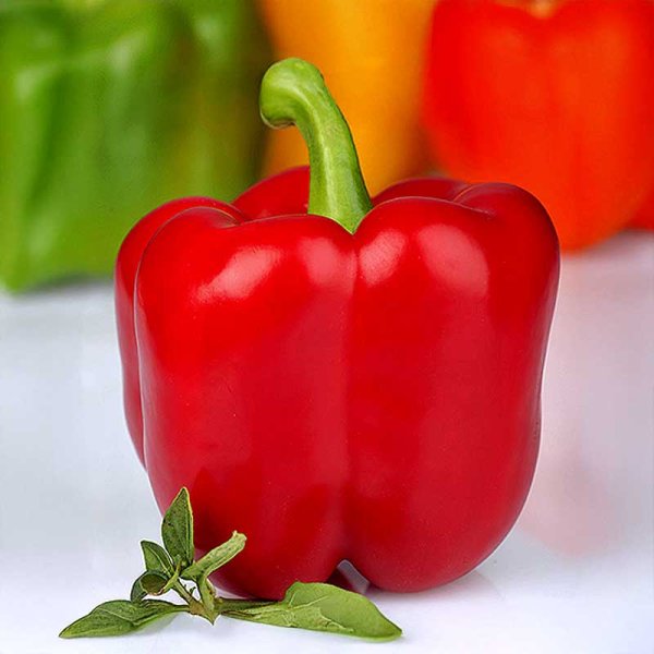 Zoomaa kuva kohteesta Paprika 'Red King' F1