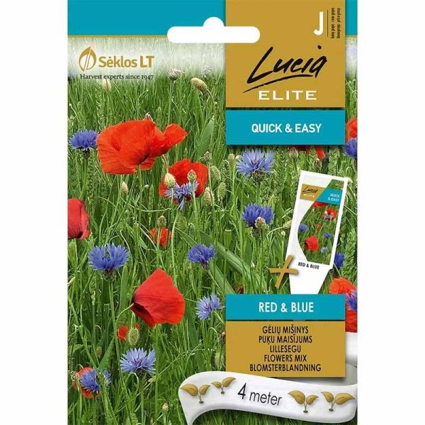 Zoomaa kuva kohteesta Flower Mix 'Red & blue'