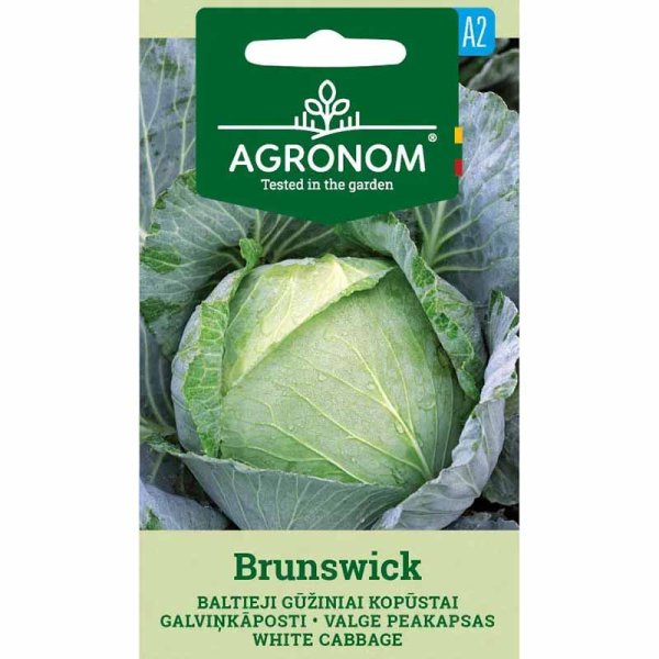 Zoomaa kuva kohteesta Valkokaali 'Brunswick'