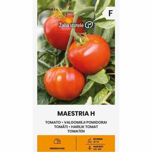 Zoom bilde av Tomat 'Maestria' H