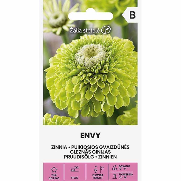 Zoomaa kuva kohteesta Zinnia 'Envy'