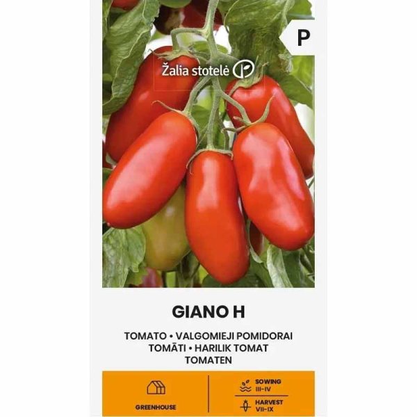 Zoom bilde av Tomat 'Giano' H