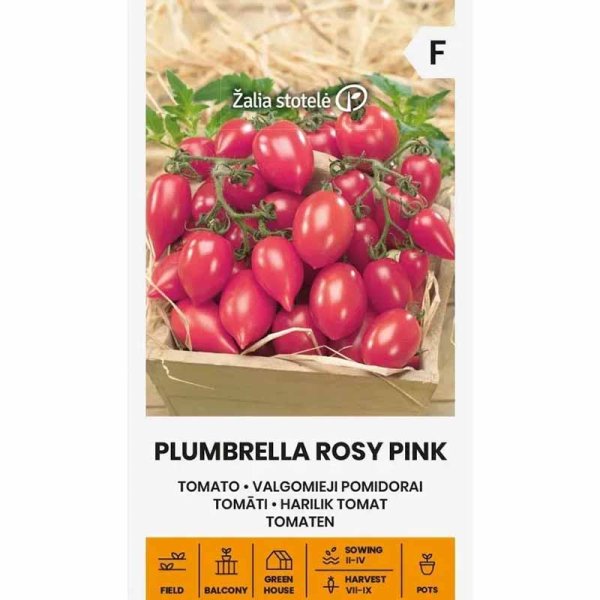 Zoom bilde av Tomat 'Plumbrella rosy pink'
