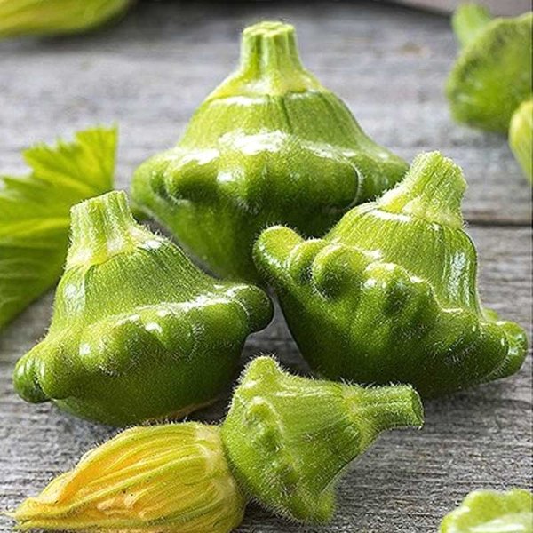 Zoom bilde av Tallerkensquash 'Okra'