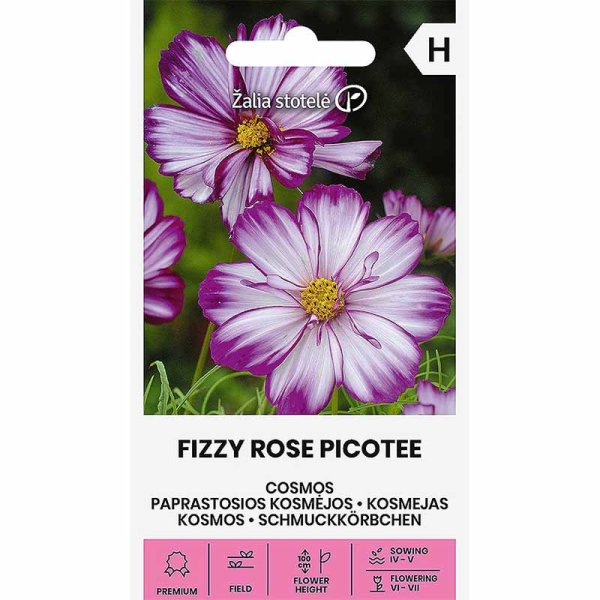 Zoomaa kuva kohteesta Kosmoskukka 'Fizzy Rose Picotee'