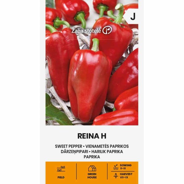 Zoomaa kuva kohteesta Paprika 'Reina' H