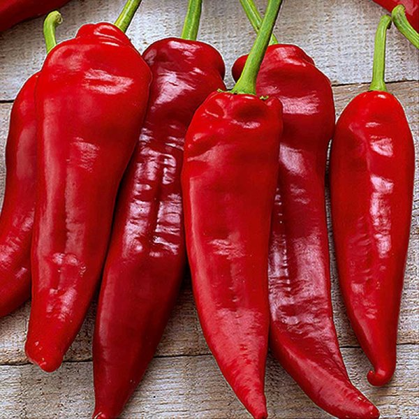 Zoomaa kuva kohteesta Paprika 'Komtesa' F1
